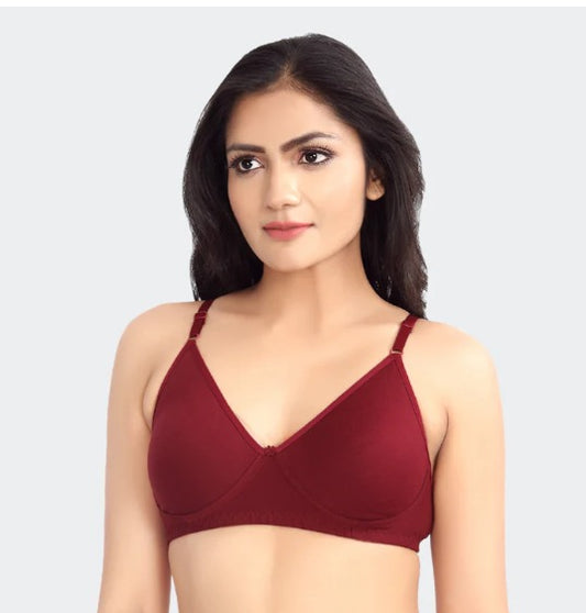 Prithvi Rosni Bra (Random Colors)