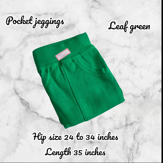 Pocket Jeggings (S to XL)